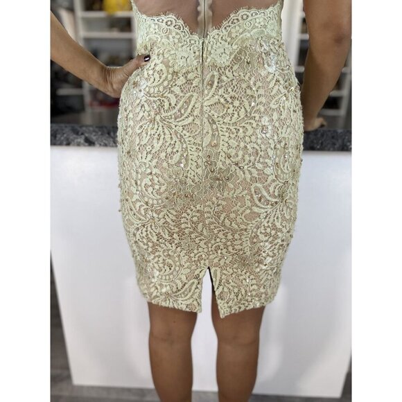 NWT Julian Joyce by Mandalay Gold Lace Sheath Dress $595 - Picture 9 of 12